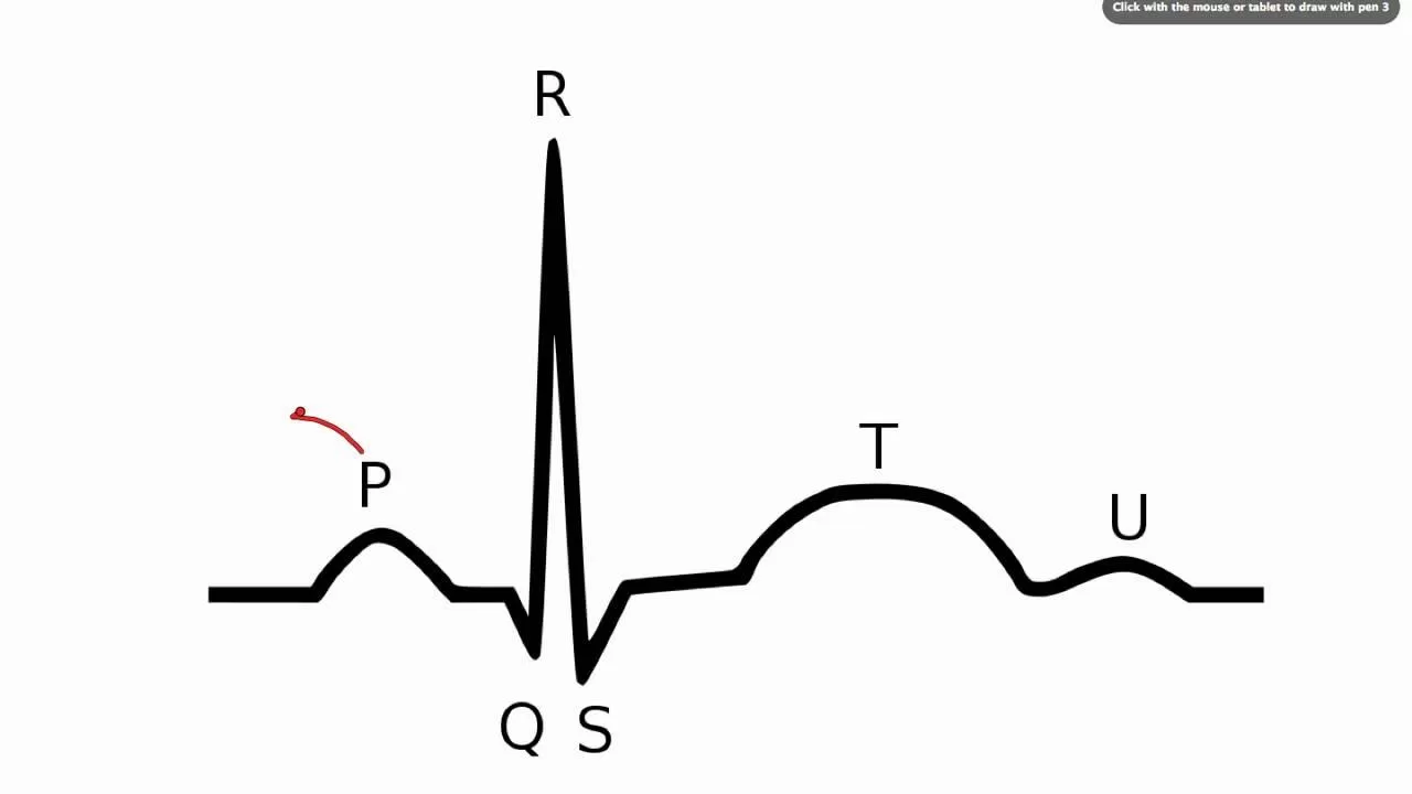 kipimo cha electrocardiogram