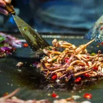 kuharisha baada ya kula chakula kilichoharibika au kichafu