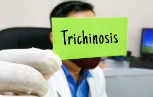 Ugonjwa wa trichinosis/trichinellosis